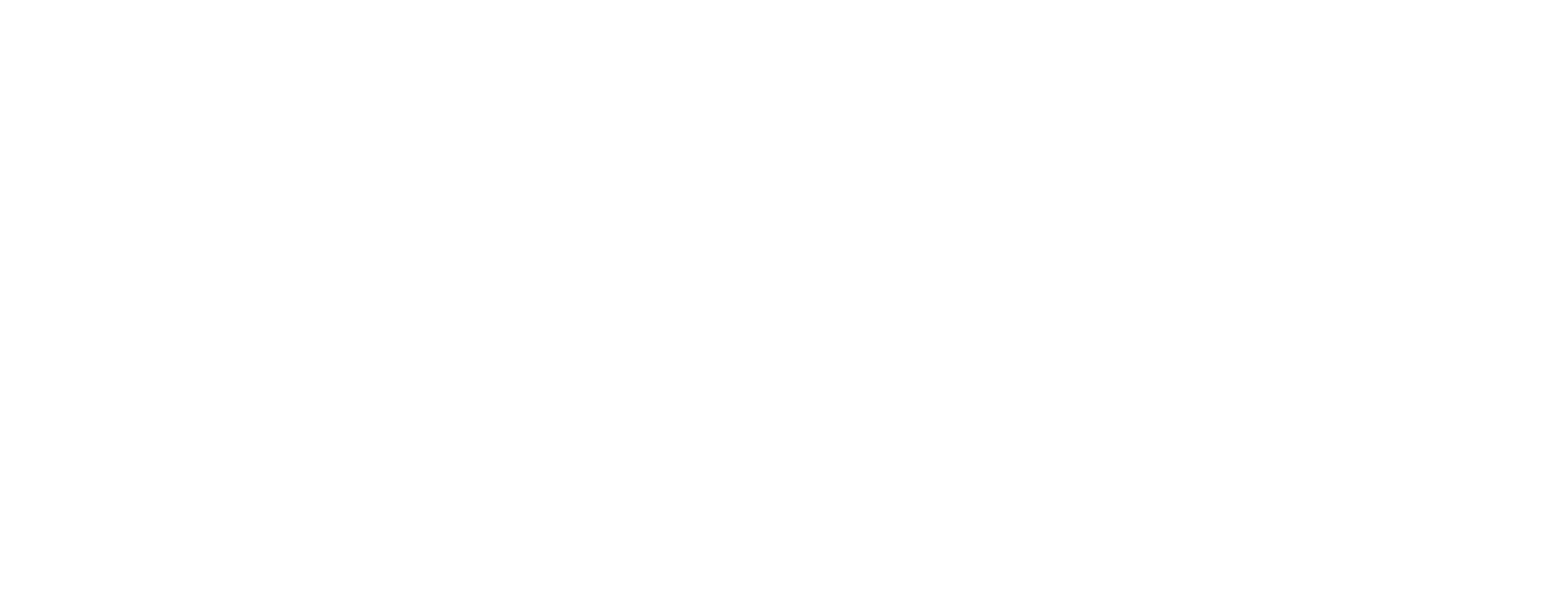 VMG_Logo_V1_Final_White__1_