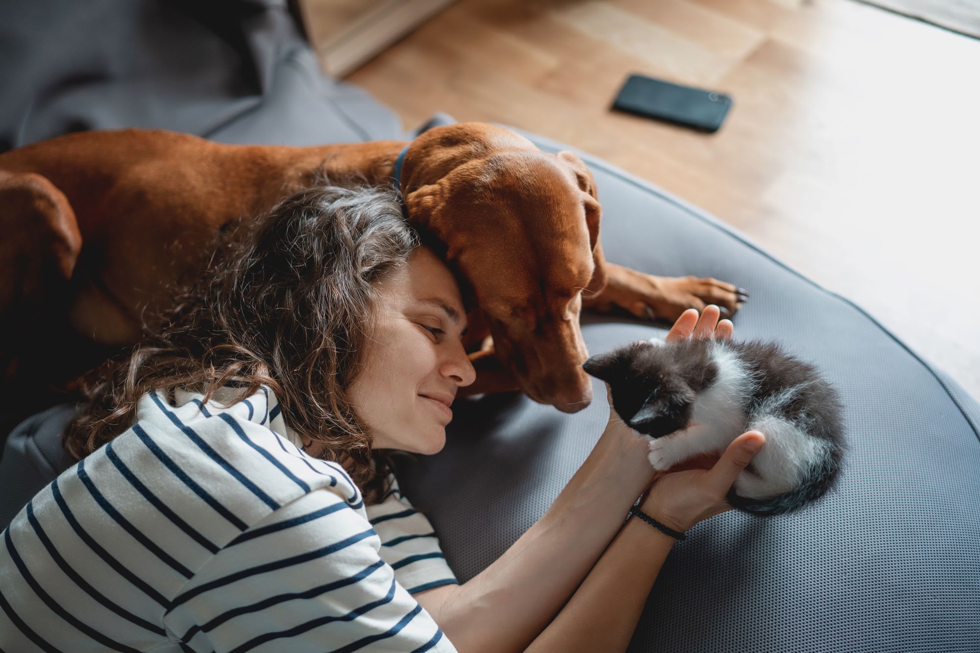 Allston + Stadium resident laying next to a dog and holding a kitten. Pet Friendly Apartments For Rent in Berkeley, CA.
