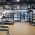 Fitness center with natural lighting, cardio, and strength training equipment