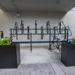 Bike storage and large planters with succulents in them.